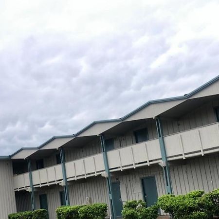 Safari Inn Motel 科珀斯克里斯蒂 外观 照片
